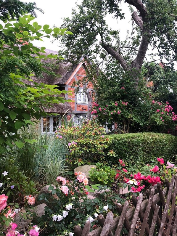 Terrain de l’hébergement 