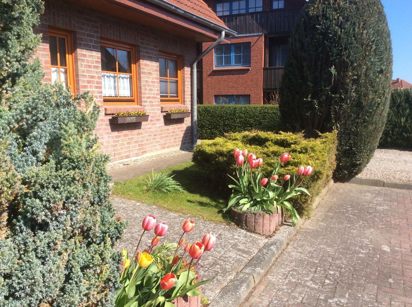 Casa de ladrillo con jardín que presenta tulipanes rojos y un seto bien cuidado.