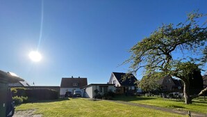 Un quartier résidentiel avec des maisons, une pelouse et un arbre.