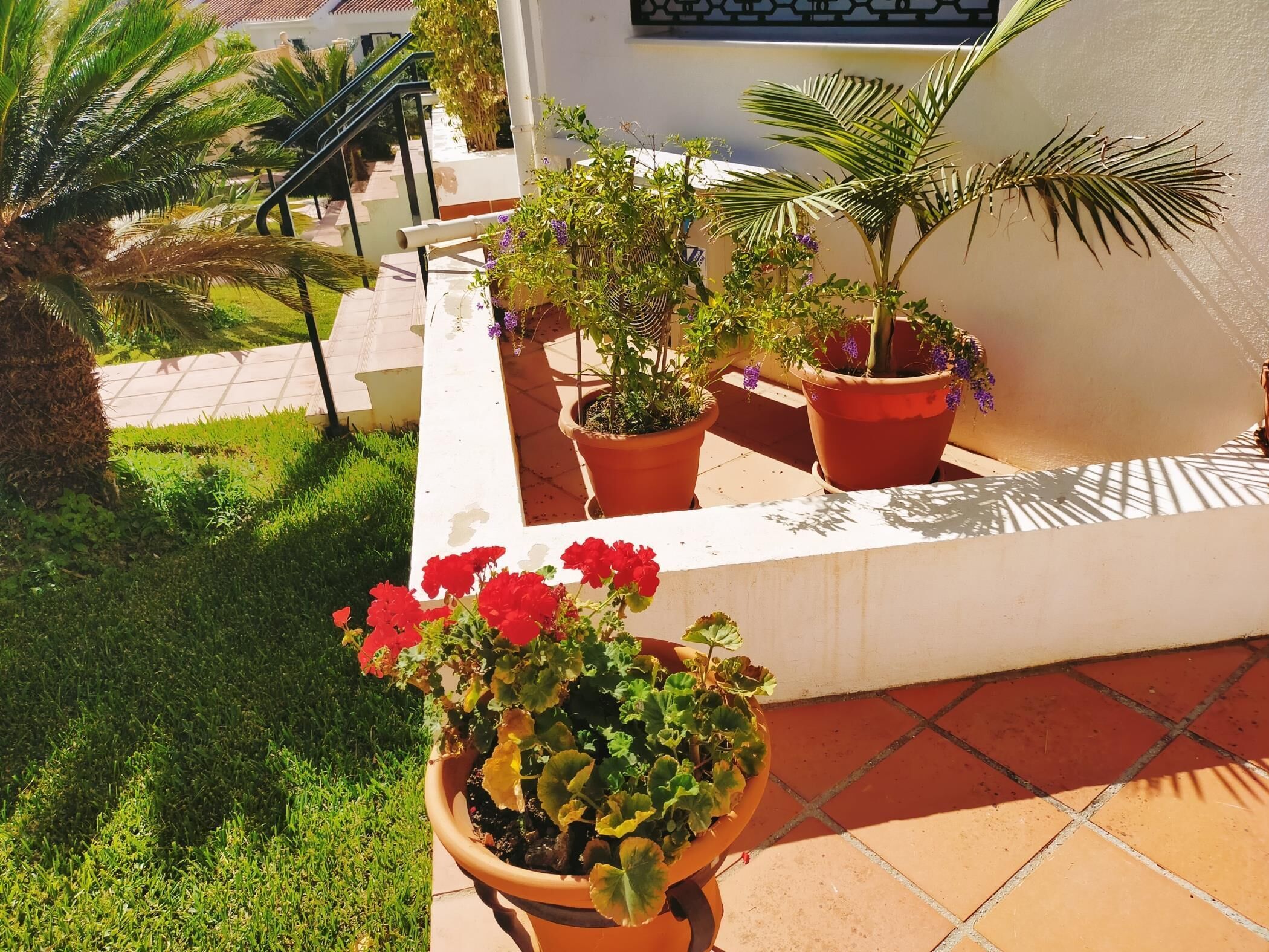 Jardines del alojamiento