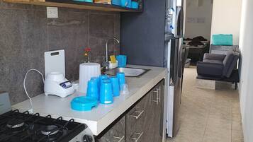 Fridge, oven, cookware/dishes/utensils, spices