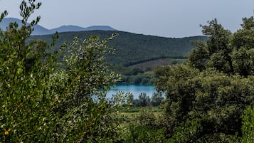 Sekalaista