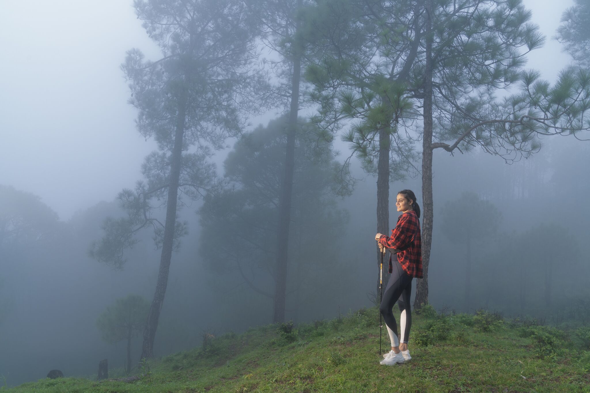 A person standing on a grassy hill with a foggy forest in the background.
