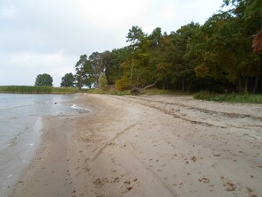 Playa en los alrededores 