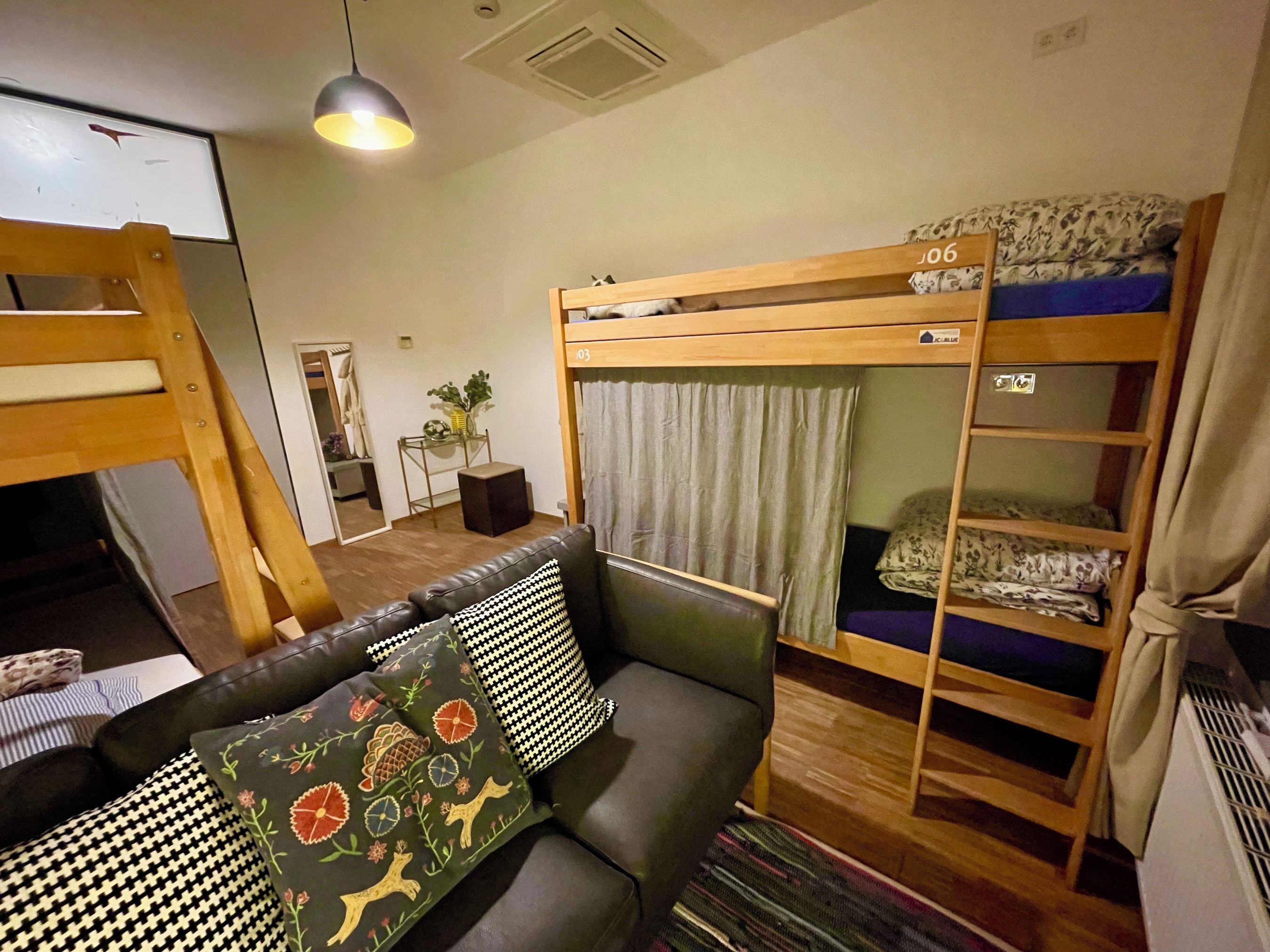 Ein kleines Zimmer mit einem Etagenbett, einer Schlafcouch und einem Tisch mit einer Pflanze.