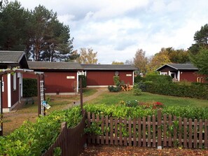 المنطقة المحيطة بالمنشأة