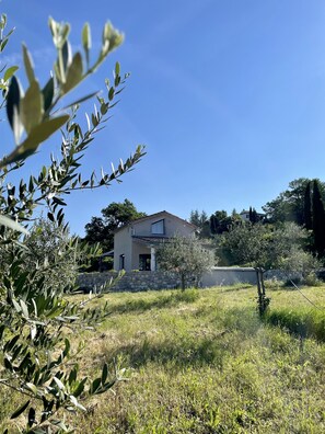 Property grounds - Gîte de la Picholine 3* (Ruoms)