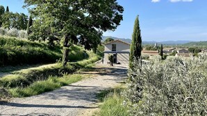 A gravel path leading to a modern building with a small garden area. - Gîte de la Picholine 3* (Ruoms)