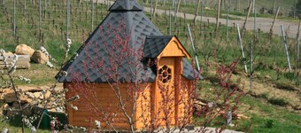 Vacation at the winery