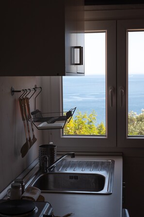 Superior Apartment | Private kitchenette | Mini-fridge, stovetop, espresso maker, coffee/tea maker