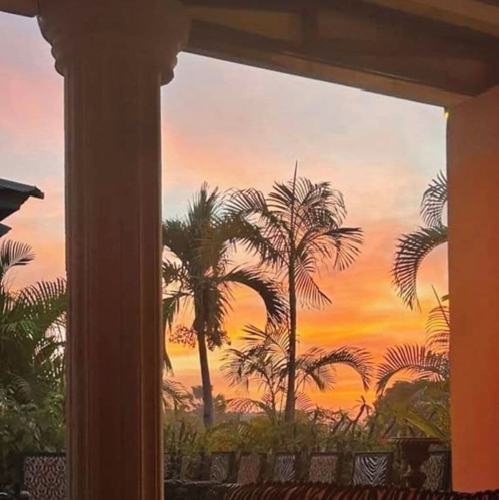 Vistas al jardín