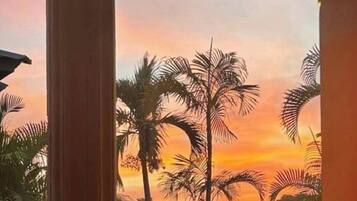 Vistas al jardín