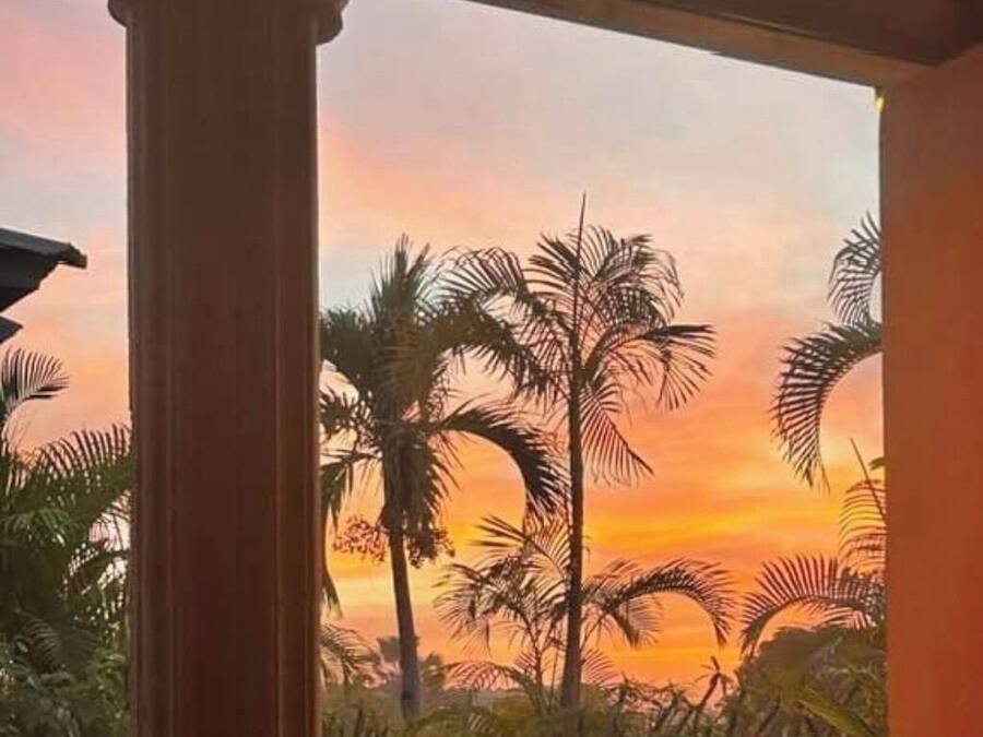 Vistas al jardín