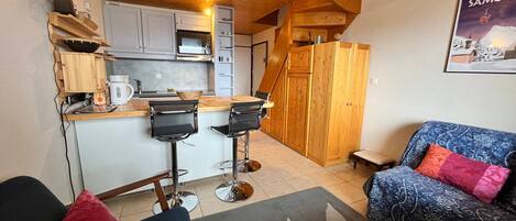 电视、DVD 播放器