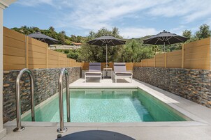 Superior Double with Private Pool | Minibar, una scrivania, tende oscuranti, Wi-Fi gratuito