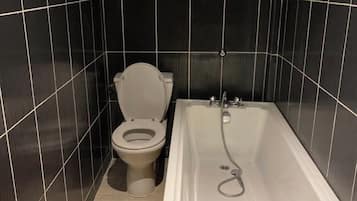 Combined shower/tub, bidet