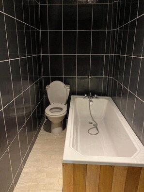 Combined shower/bathtub, bidet