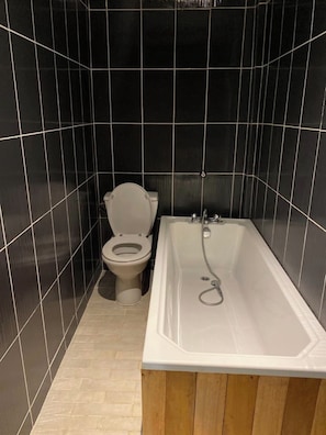 Combined shower/bathtub, bidet