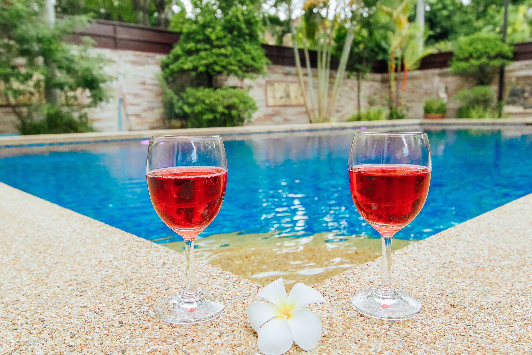 Two glasses of red liquid on a textured surface by a pool with a white flower.
