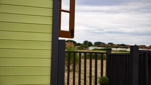 Un bâtiment vert avec une porte et une fenêtre en bois, une clôture noire et une plante en pot.