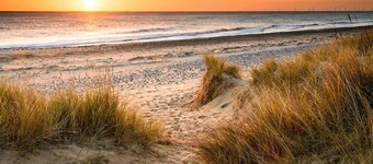 Glamping Shepherds Hut - Stunning Views - 2 minutes to the Beach