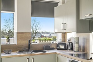 Apartment, Ensuite (Kauto Star) | Private kitchen