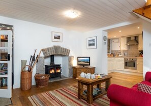 Televisión, chimenea y reproductor de DVD 