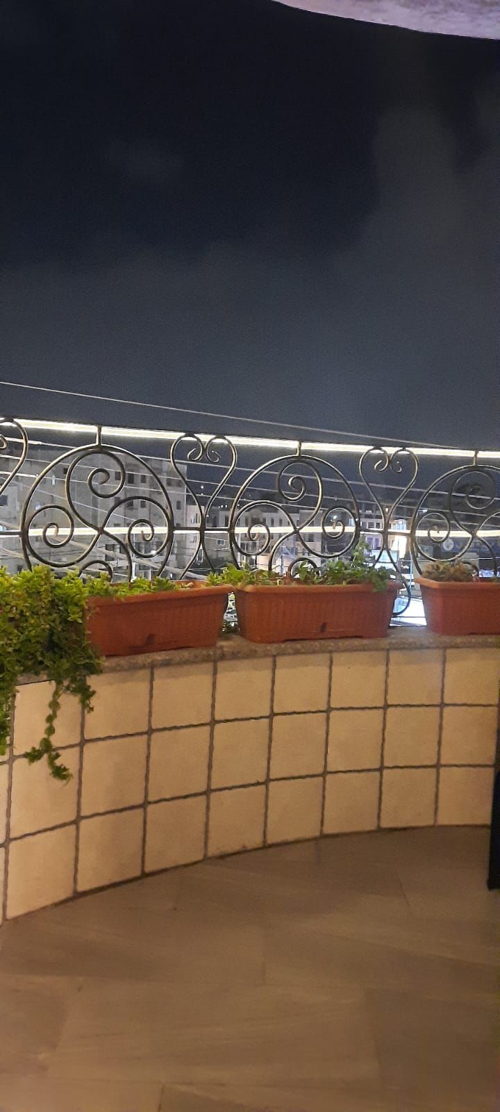 Un balcón con baranda metálica, plantas en macetas y vista a bicicletas al fondo.