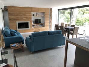 Televisión, chimenea y libros 