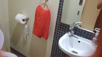 Bathtub, bidet, towels, toilet paper