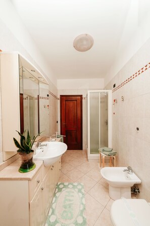 Dusche, Haartrockner, Bidet, Handtücher