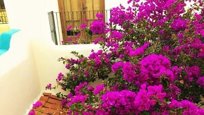A staircase with terracotta tiles and a vibrant bougainvillea plant.