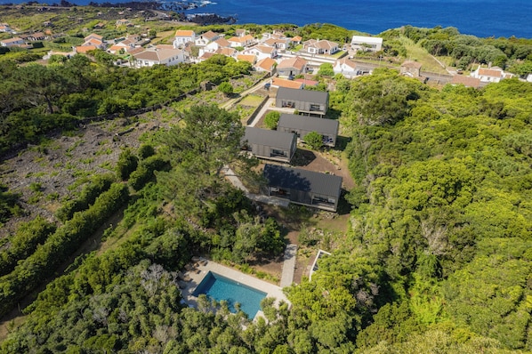 A residential area with a large house featuring a swimming pool, surrounded by dense greenery and a coastal view.