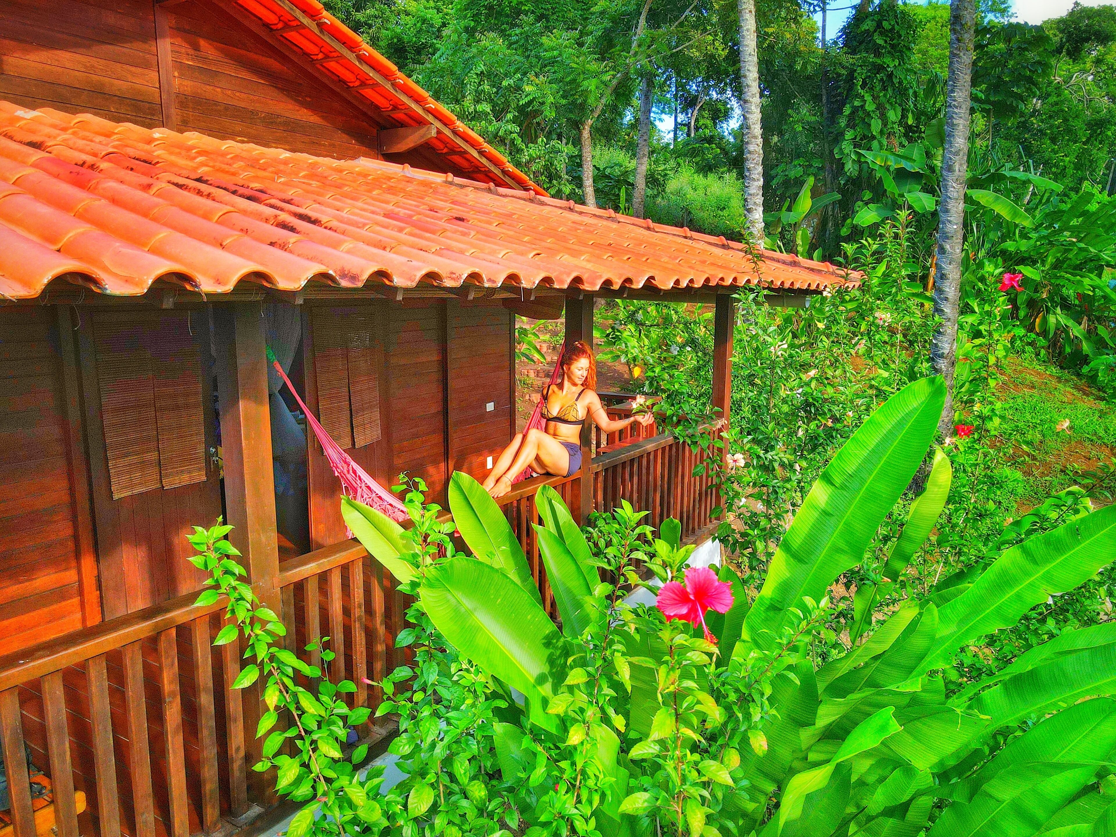 Uma cabana de madeira com telhado vermelho, cercada por vegetação exuberante e bananeiras.