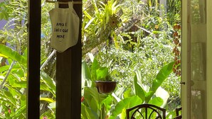 A covered outdoor area with a table and chairs, surrounded by lush greenery and a hanging light fixture. - POUSADA HORIZONTE AZUL (Cairu)