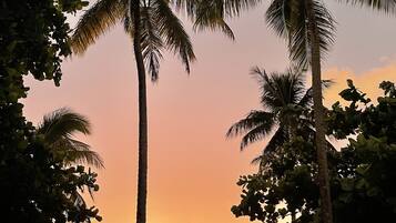 A sunset with palm trees silhouetted against a sky.