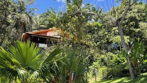 A pathway leading to a house surrounded by lush greenery and palm trees. - POUSADA HORIZONTE AZUL (Cairu)