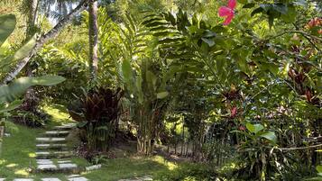 Um caminho de pedra serpenteia por um jardim exuberante, repleto de plantas e árvores.