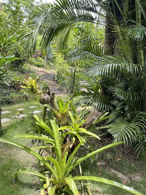 Puutarha