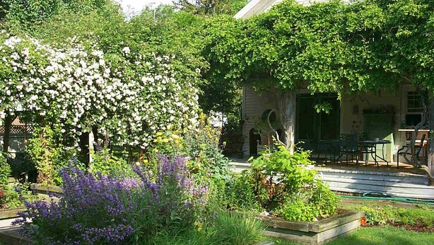 Un jardín con diversas plantas y flores, un banco de madera y un edificio con porche al fondo.