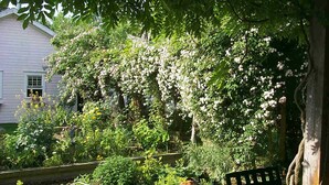 Un jardín con diversas plantas y flores, un banco y una casa al fondo.