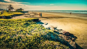 Een strand met een huis en palmbomen.