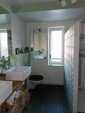 Baignoire, sèche-cheveux, savon, papier toilette