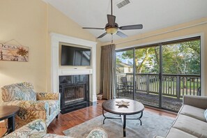 Télévision, cheminée, lecteur de DVD