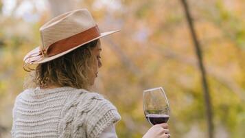 公寓, 1 间卧室, 露台 | 露台