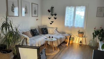 Smart TV, fireplace, books, printers