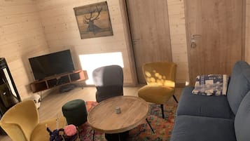 Tv, dvd-spelare och ett musikbibliotek