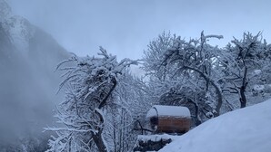 A wooden cabin surrounded by snow-covered trees and a mountain backdrop. - Beautiful Chalet "Hygge" (venosc)