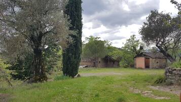 Área da propriedade