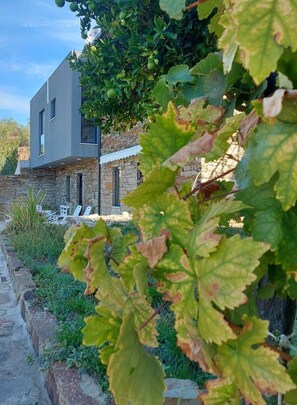 A modern building with stone walls and a metal staircase leading to a terrace. - Soalheira Douro House (Vale de Mendiz, Alijó)